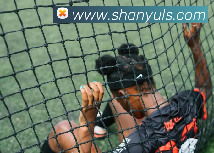 App Interface Preview